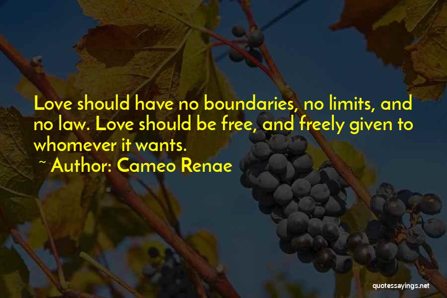 Boundaries And Limits Quotes By Cameo Renae