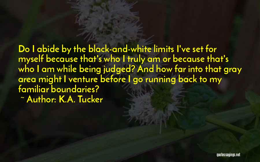Boundaries And Limits Quotes By K.A. Tucker