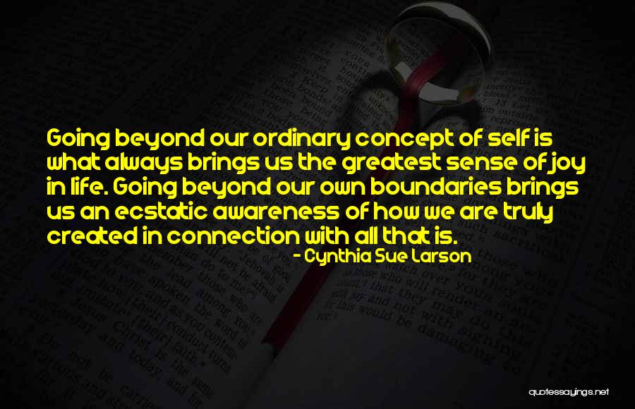 Boundaries In Life Quotes By Cynthia Sue Larson Boundaries In Life Quotes By Cynthia Sue Larson