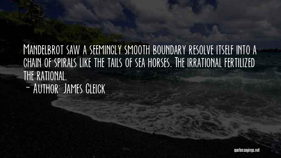 Boundary Quotes By James Gleick