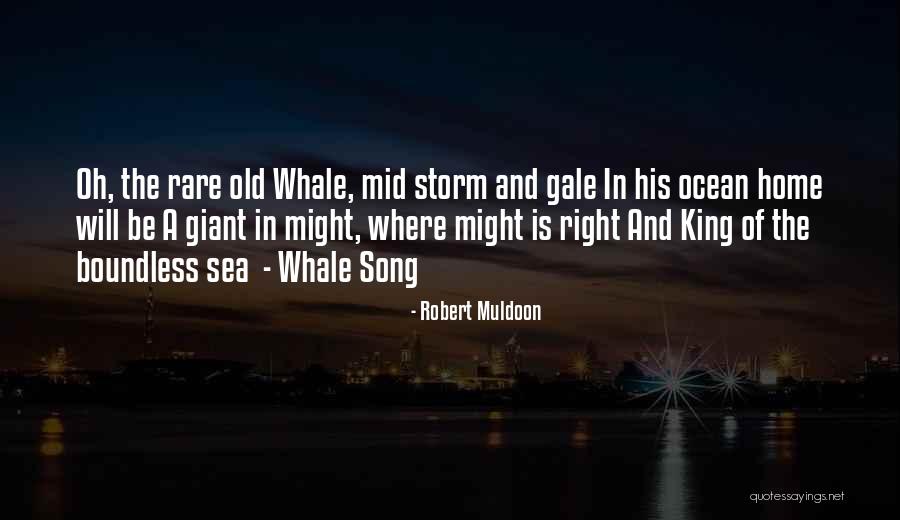 Boundless Sea Quotes By Robert Muldoon