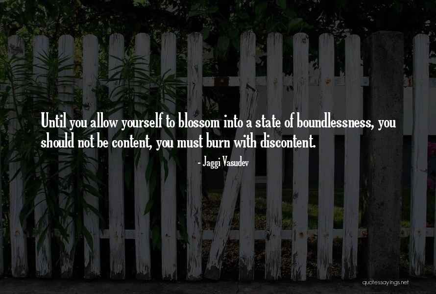 Boundlessness Quotes By Jaggi Vasudev Boundlessness Quotes By Jaggi Vasudev