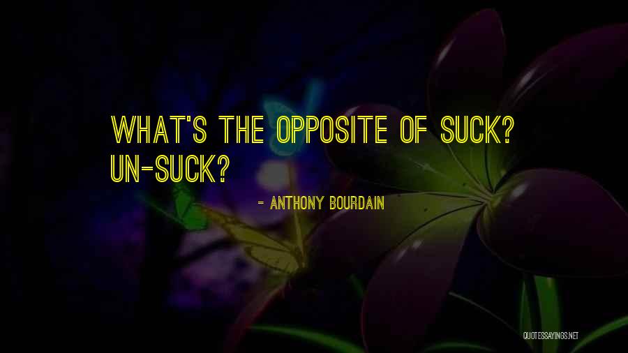 Bourdain Quotes By Anthony Bourdain