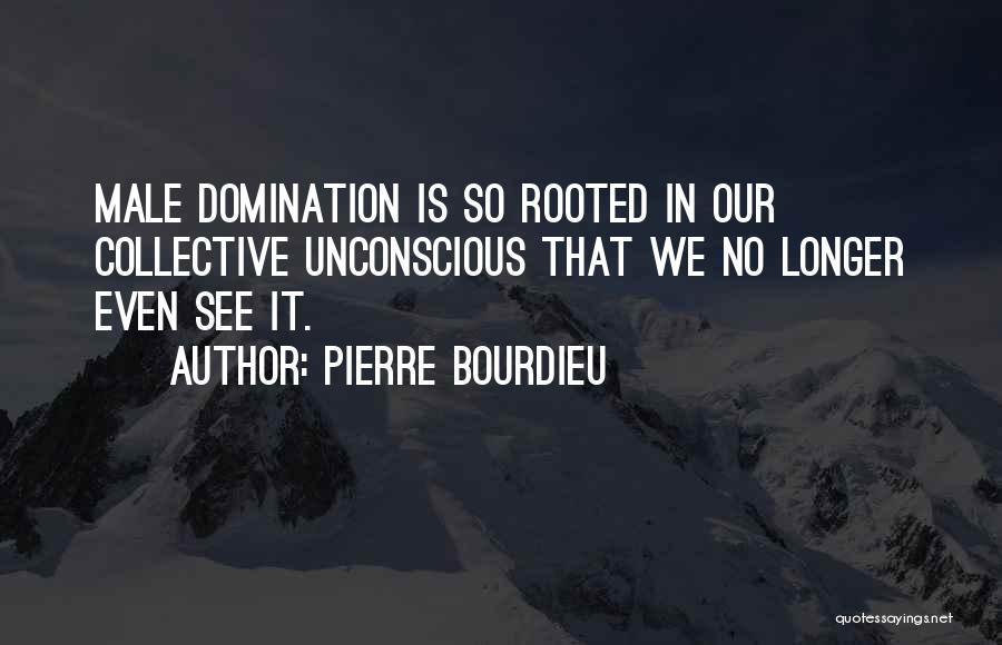 Bourdieu Quotes By Pierre Bourdieu