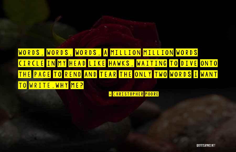 Bourdieus Theory Quotes By Christopher Moore Bourdieus Theory Quotes By Christopher Moore