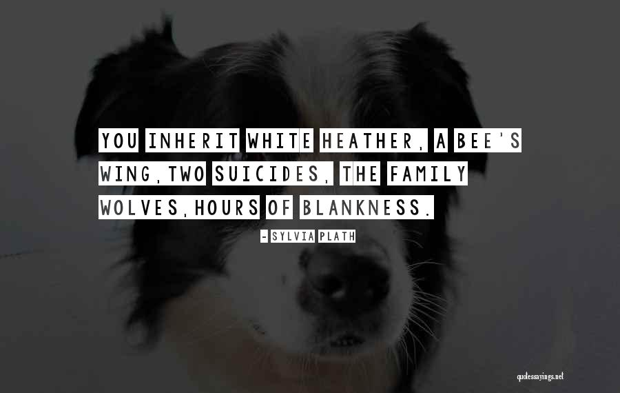 Bourezza Quotes By Sylvia Plath Bourezza Quotes By Sylvia Plath