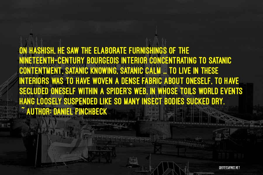 Bourgeois Quotes By Daniel Pinchbeck