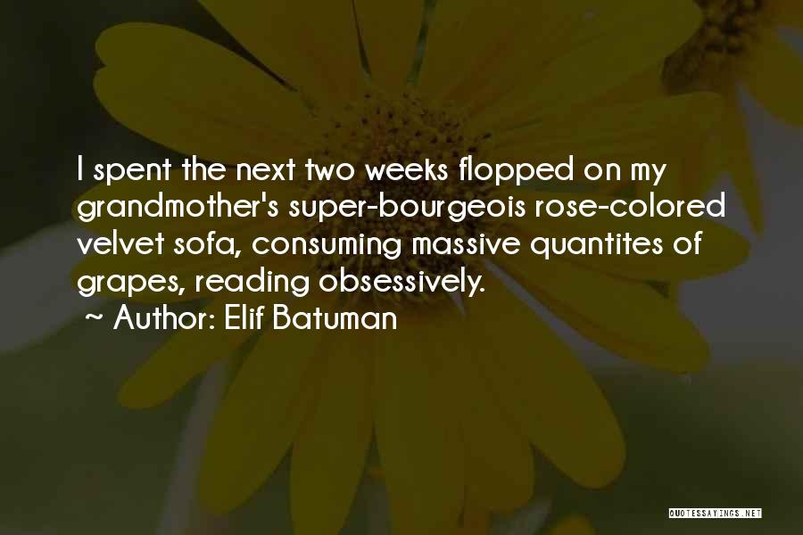Bourgeois Quotes By Elif Batuman