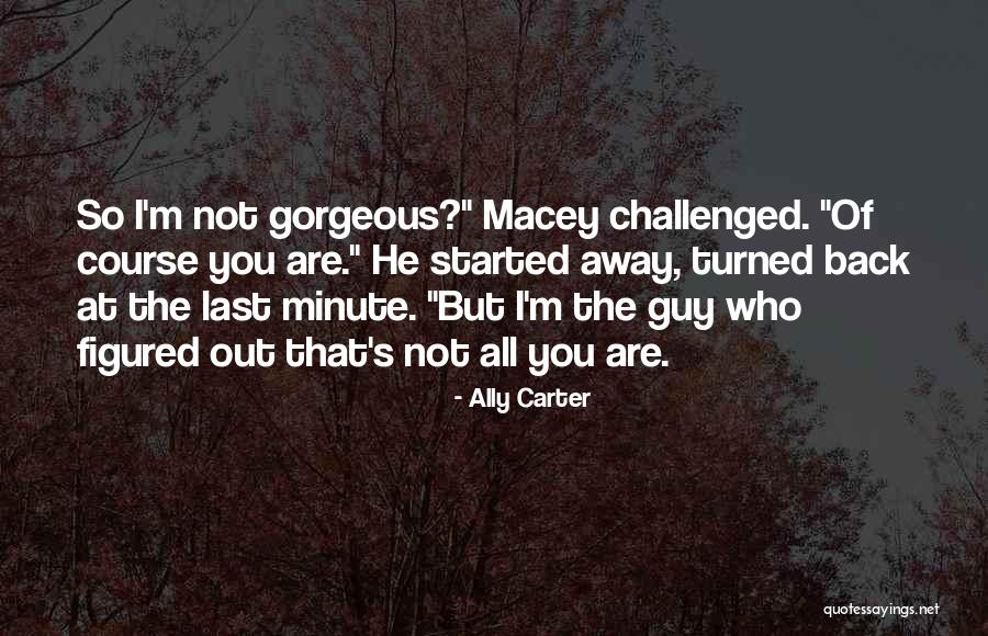 Bournane Salah Quotes By Ally Carter