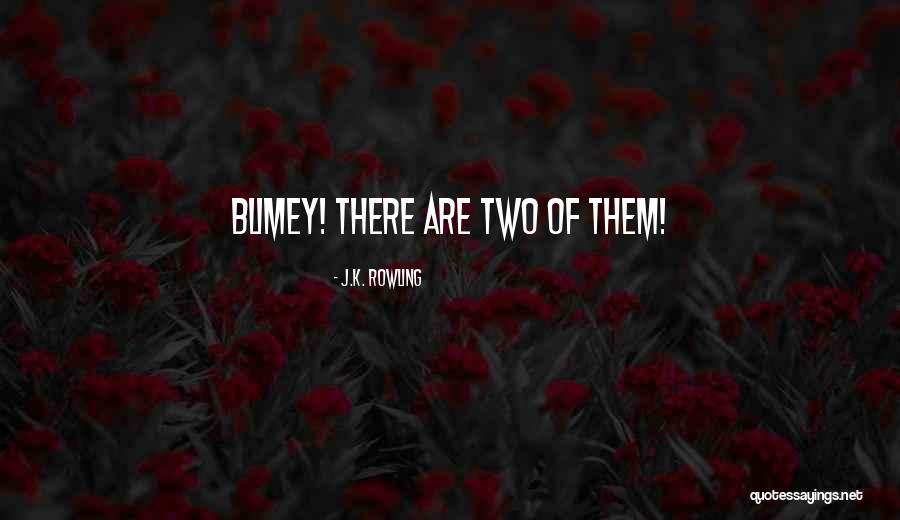 Boursier Hotel Quotes By J.K. Rowling Boursier Hotel Quotes By J.K. Rowling