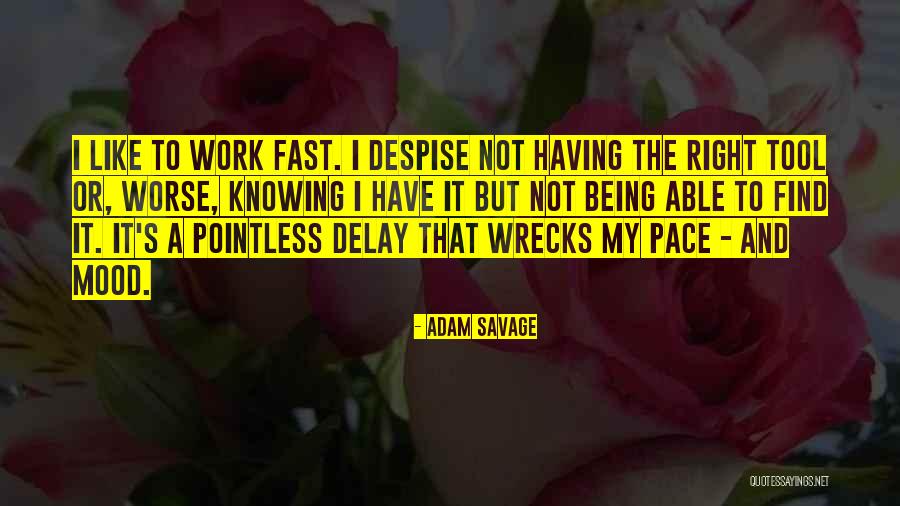 Boustany Guest Quotes By Adam Savage