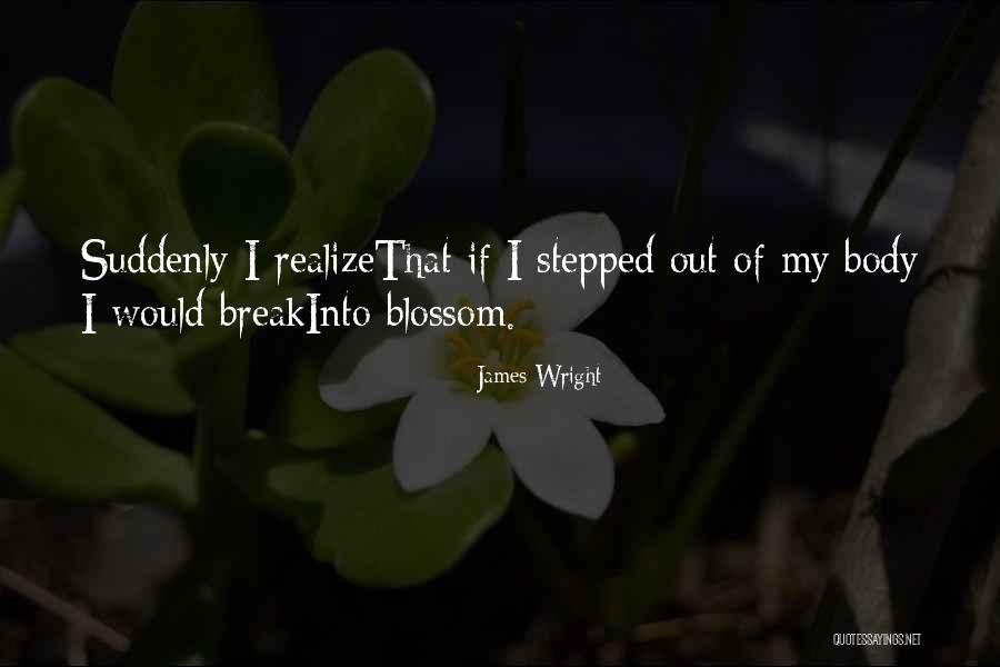 Bouteilles En Quotes By James Wright Bouteilles En Quotes By James Wright