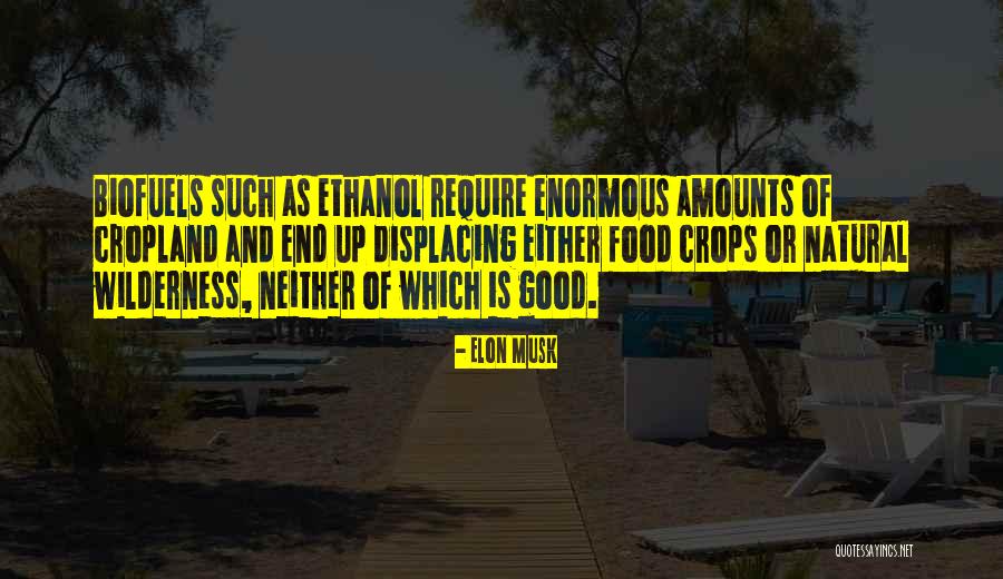 Boutons Rouges Quotes By Elon Musk Boutons Rouges Quotes By Elon Musk