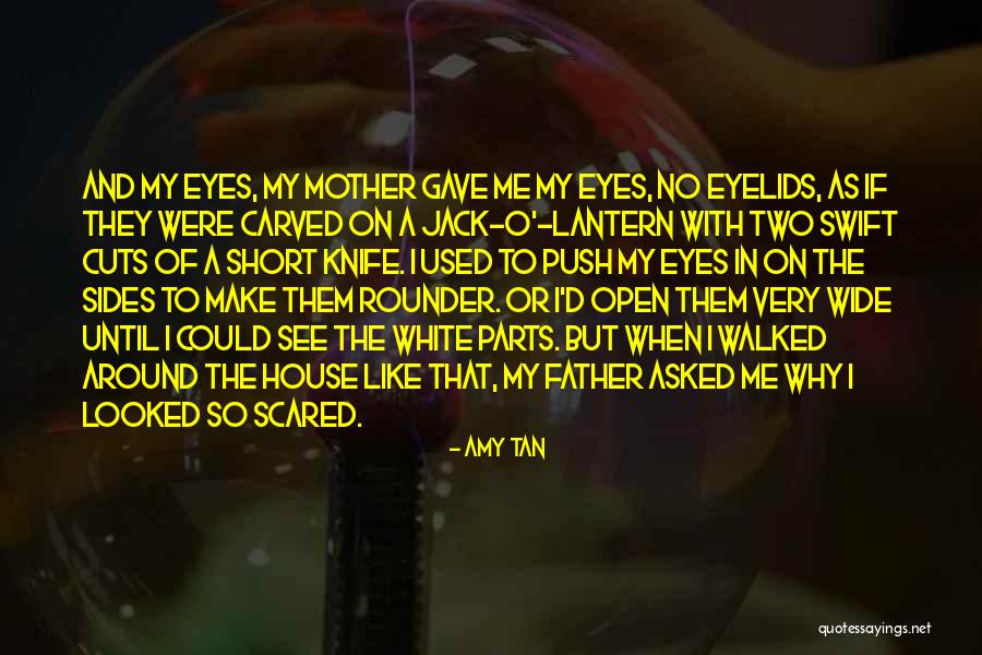 Bouts Of Anger Quotes By Amy Tan Bouts Of Anger Quotes By Amy Tan