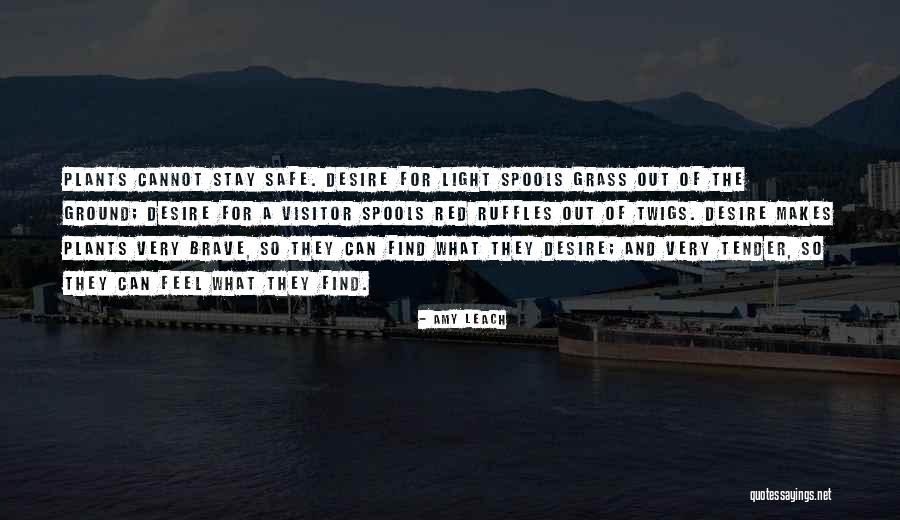 Bouya Harumichi Quotes By Amy Leach Bouya Harumichi Quotes By Amy Leach