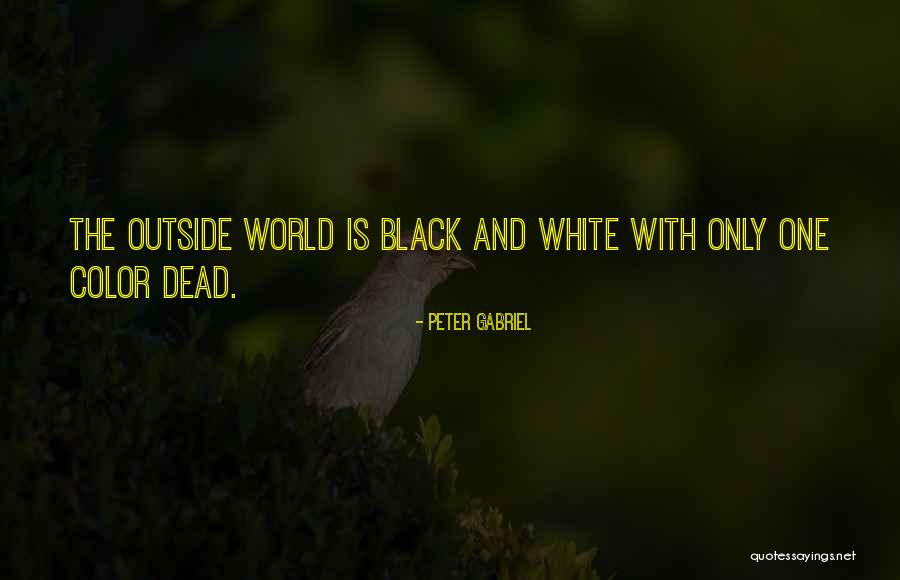 Bovaryism Quotes By Peter Gabriel Bovaryism Quotes By Peter Gabriel