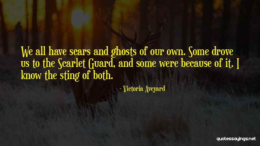 Bovet Orange Quotes By Victoria Aveyard Bovet Orange Quotes By Victoria Aveyard