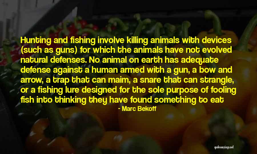 Bow And Arrow Hunting Quotes By Marc Bekoff Bow And Arrow Hunting Quotes By Marc Bekoff