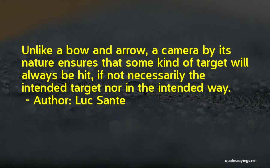 Bow And Arrow Quotes By Luc Sante