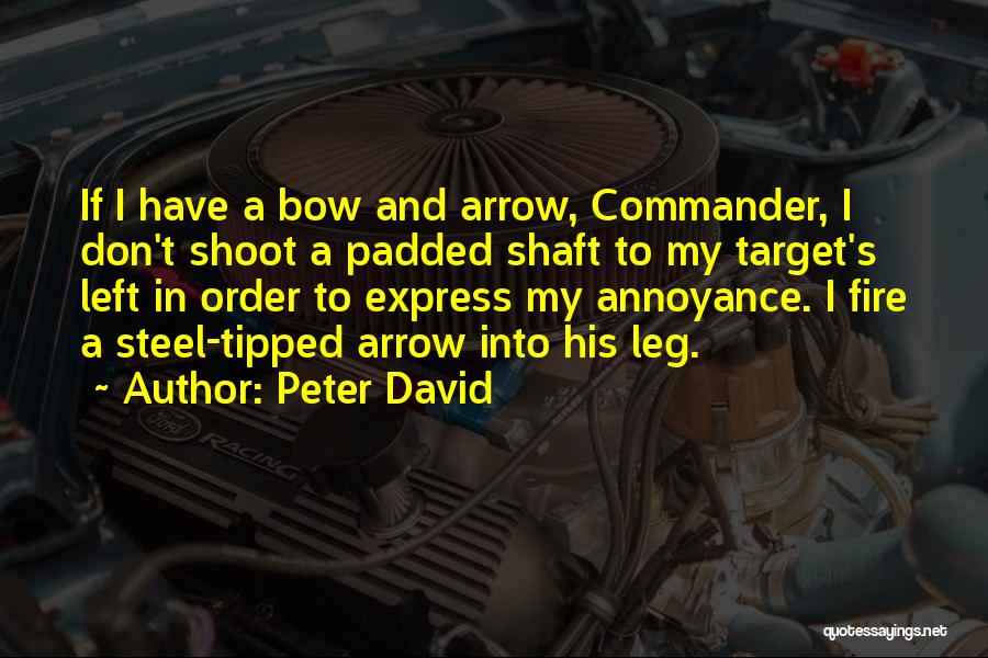 Bow And Arrow Quotes By Peter David