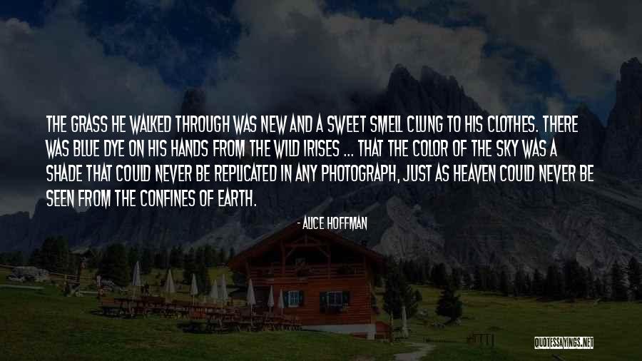 Bow Genius Quotes By Alice Hoffman Bow Genius Quotes By Alice Hoffman