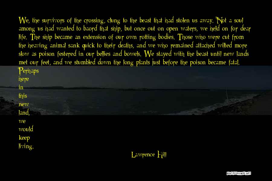 Bowels Quotes By Lawrence Hill Bowels Quotes By Lawrence Hill