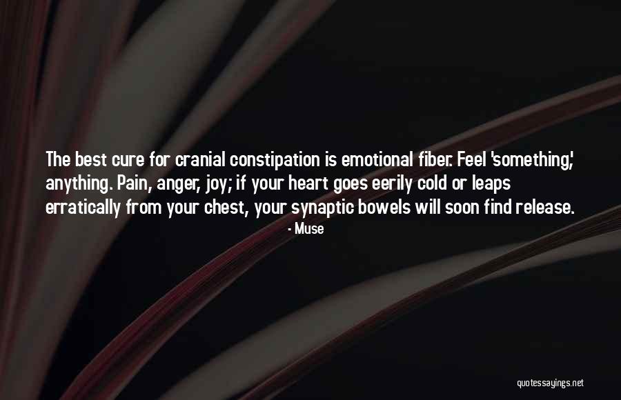 Bowels Quotes By Muse Bowels Quotes By Muse
