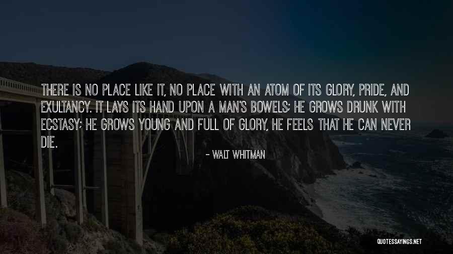 Bowels Quotes By Walt Whitman Bowels Quotes By Walt Whitman