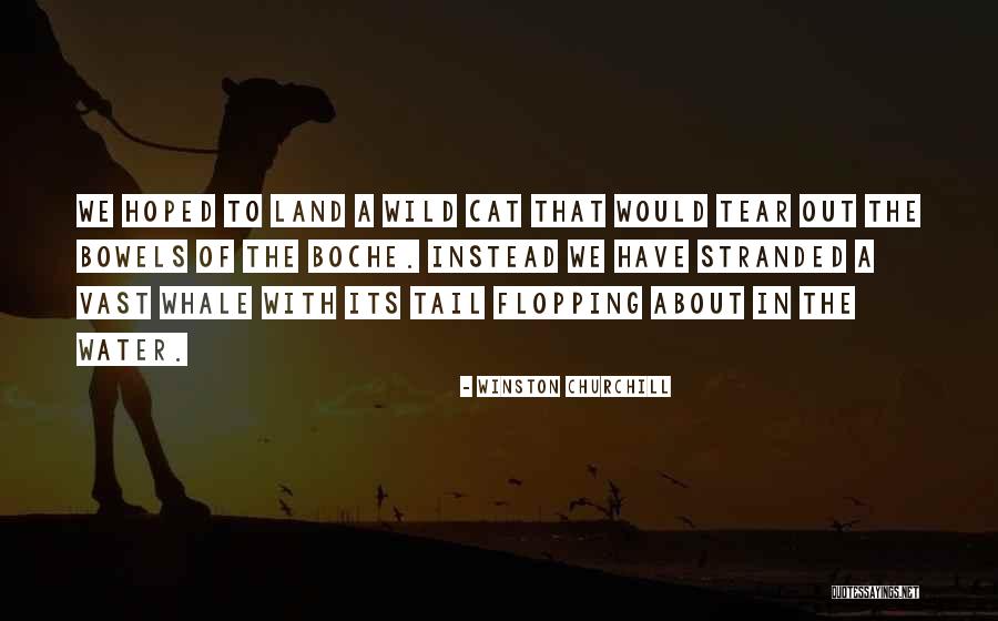 Bowels Quotes By Winston Churchill Bowels Quotes By Winston Churchill