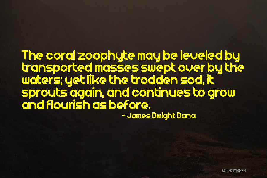 Bowlders Quotes By James Dwight Dana Bowlders Quotes By James Dwight Dana
