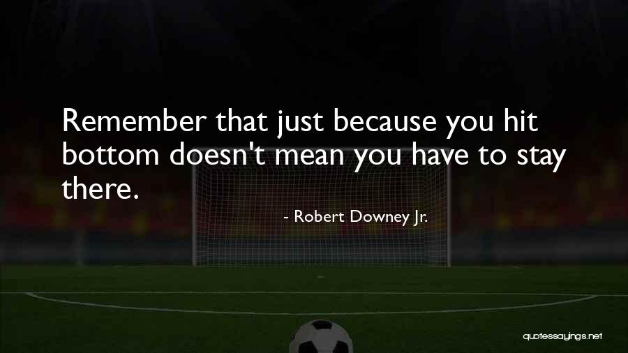 Bowlful In Brazil Quotes By Robert Downey Jr. Bowlful In Brazil Quotes By Robert Downey Jr.