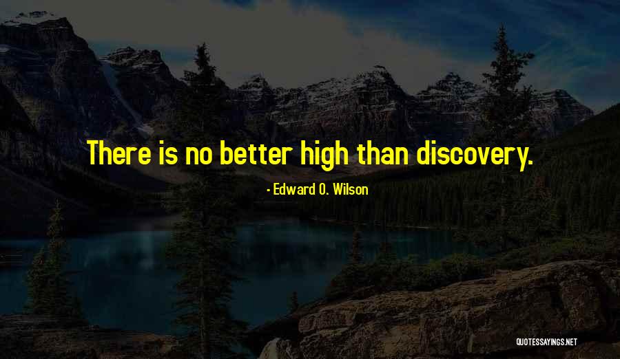 Bowling Tournament Quotes By Edward O. Wilson