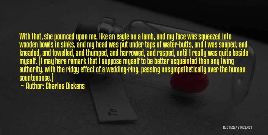 Bowls Quotes By Charles Dickens