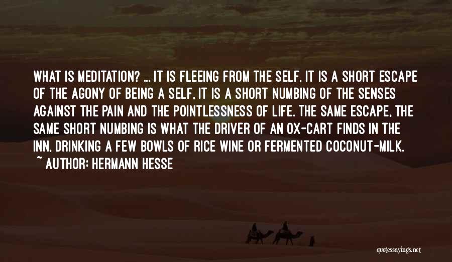 Bowls Quotes By Hermann Hesse