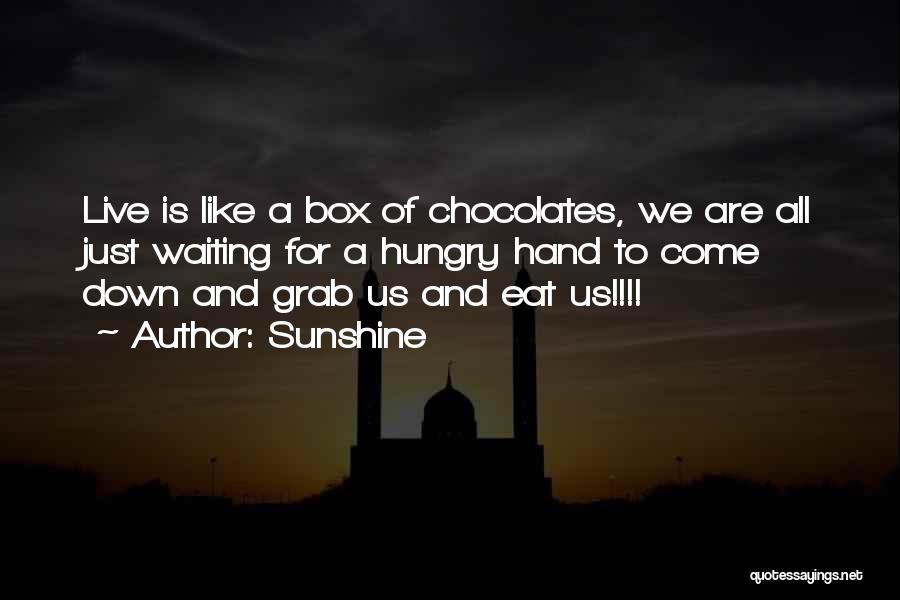 Box Of Chocolates Quotes By Sunshine