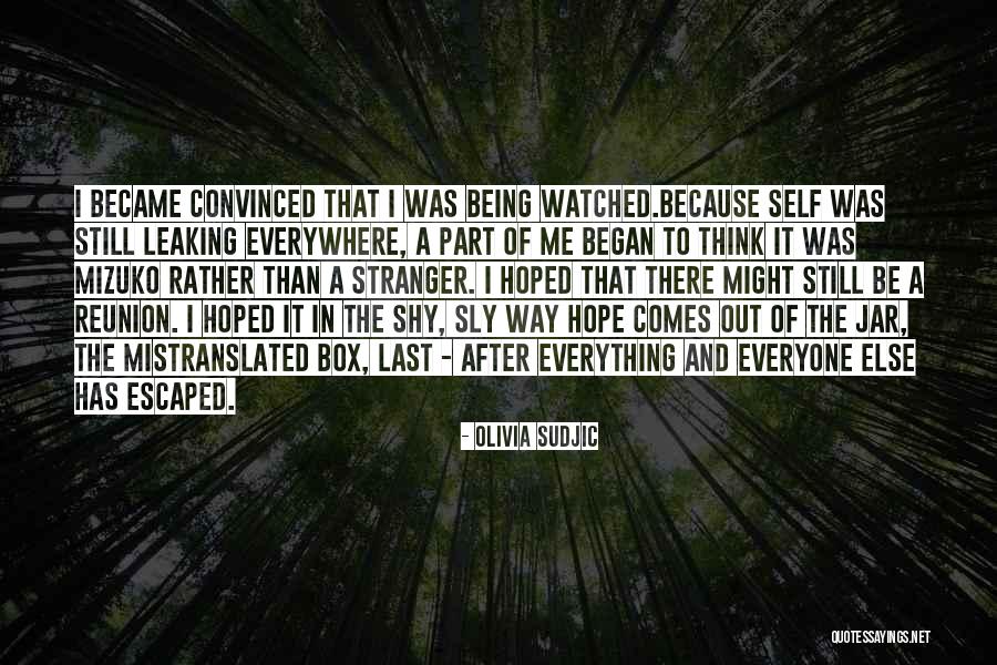 Box Of Pandora Quotes By Olivia Sudjic Box Of Pandora Quotes By Olivia Sudjic