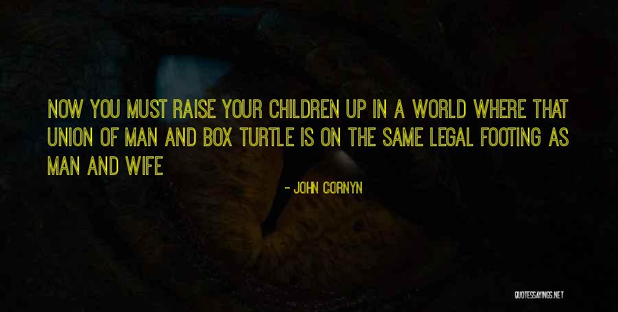 Box Turtles Quotes By John Cornyn