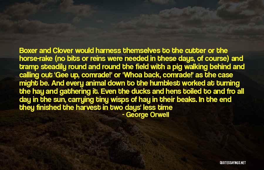 Boxer Animal Farm Quotes By George Orwell Boxer Animal Farm Quotes By George Orwell
