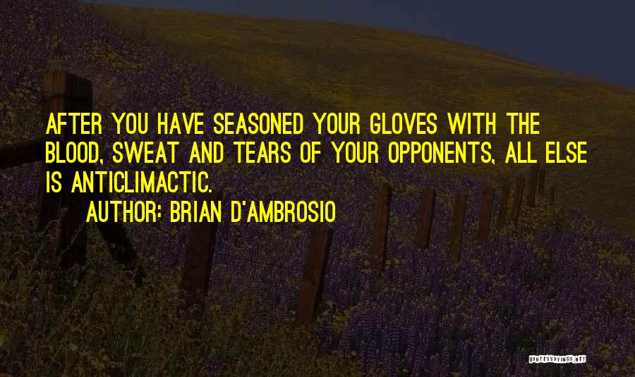 Boxing Gloves Quotes By Brian D'Ambrosio