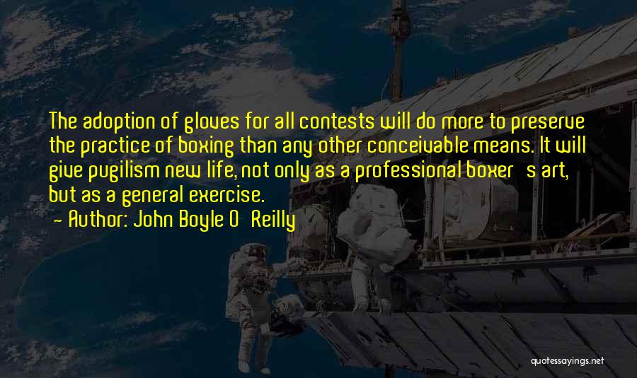 Boxing Gloves Quotes By John Boyle O'Reilly
