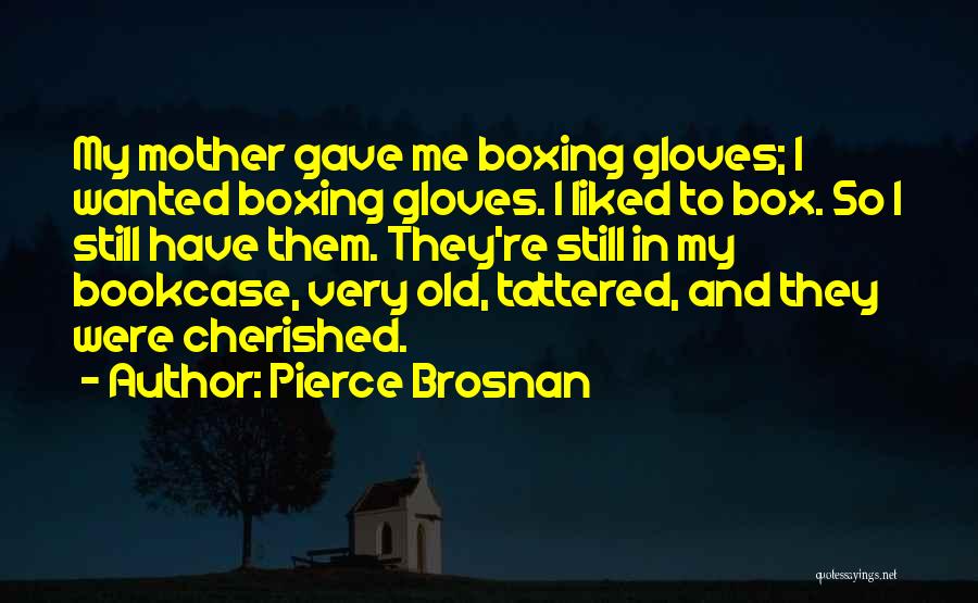 Boxing Gloves Quotes By Pierce Brosnan