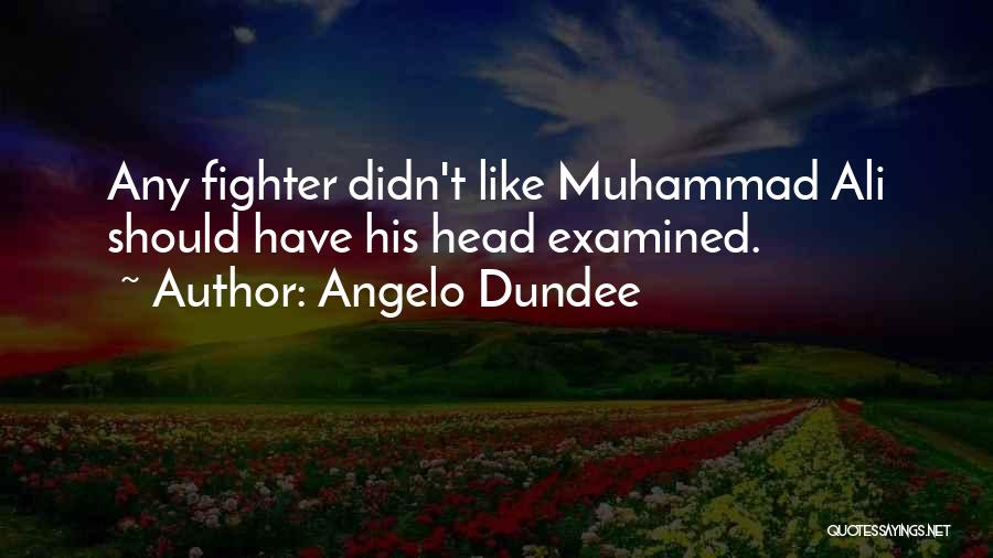 Boxing Quotes By Angelo Dundee