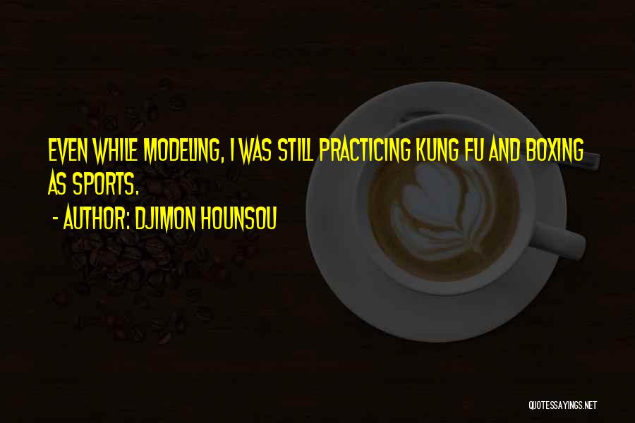 Boxing Quotes By Djimon Hounsou