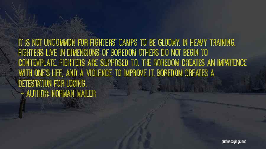 Boxing Training Quotes By Norman Mailer