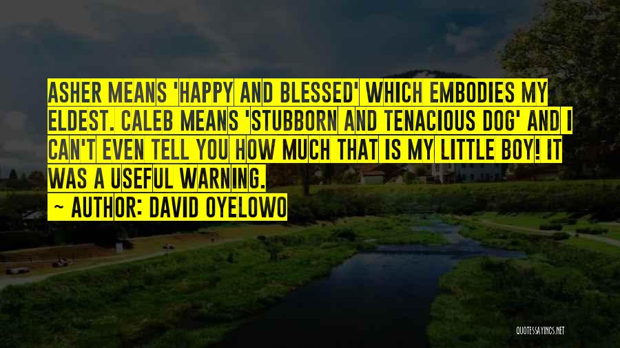 Boy And Dog Quotes By David Oyelowo