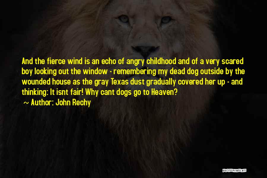 Boy And Dog Quotes By John Rechy