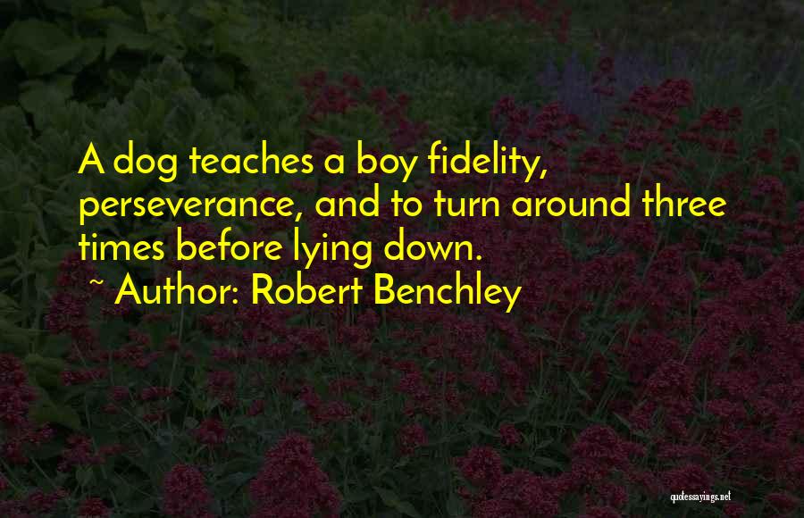 Boy And Dog Quotes By Robert Benchley