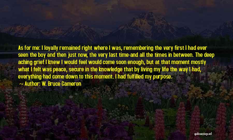 Boy And Dog Quotes By W. Bruce Cameron