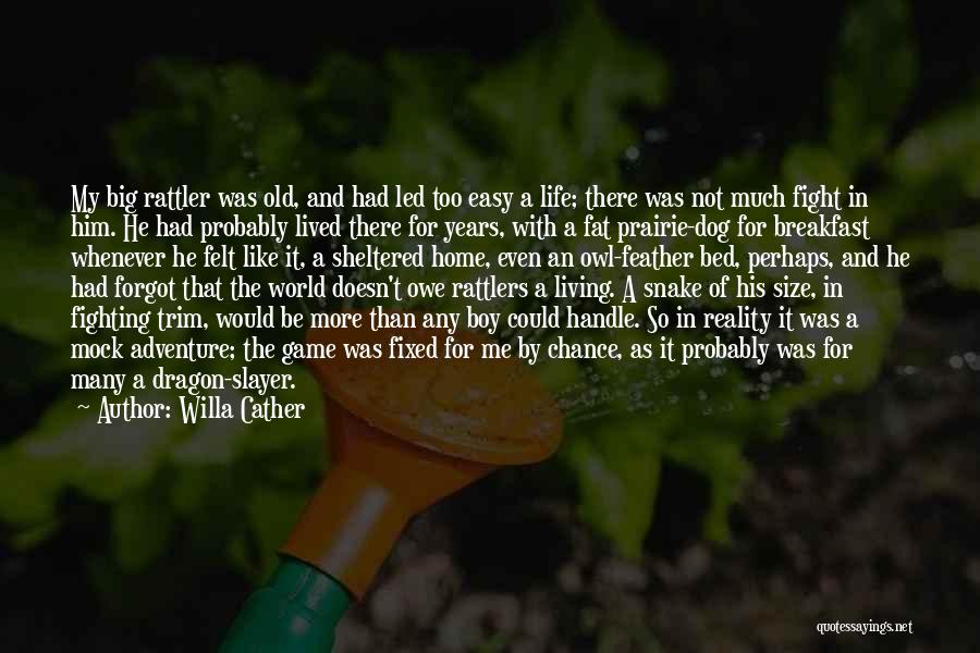 Boy And Dog Quotes By Willa Cather