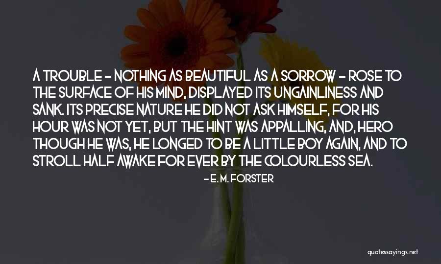 Boy And Nature Quotes By E. M. Forster Boy And Nature Quotes By E. M. Forster